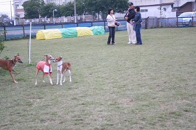 IMG_0910.jpg