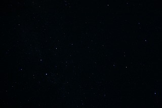 IMG_8292.jpg