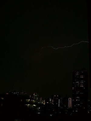 P1020261.jpg